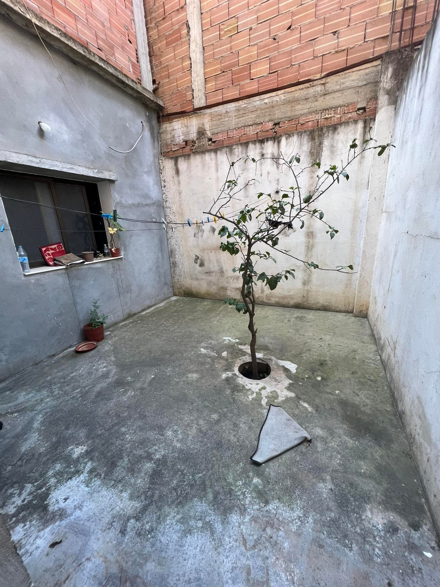 Photo de la propriété