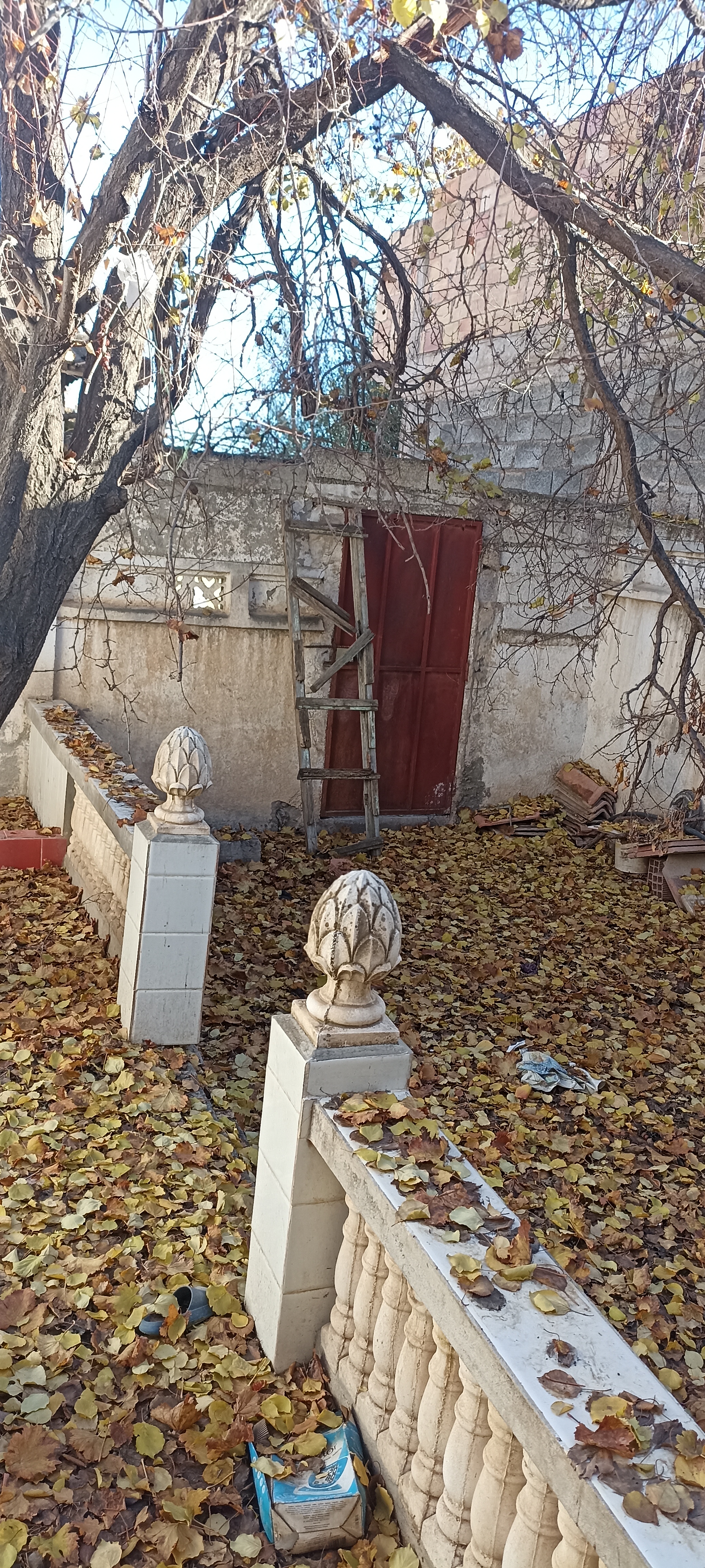 Photo de la propriété