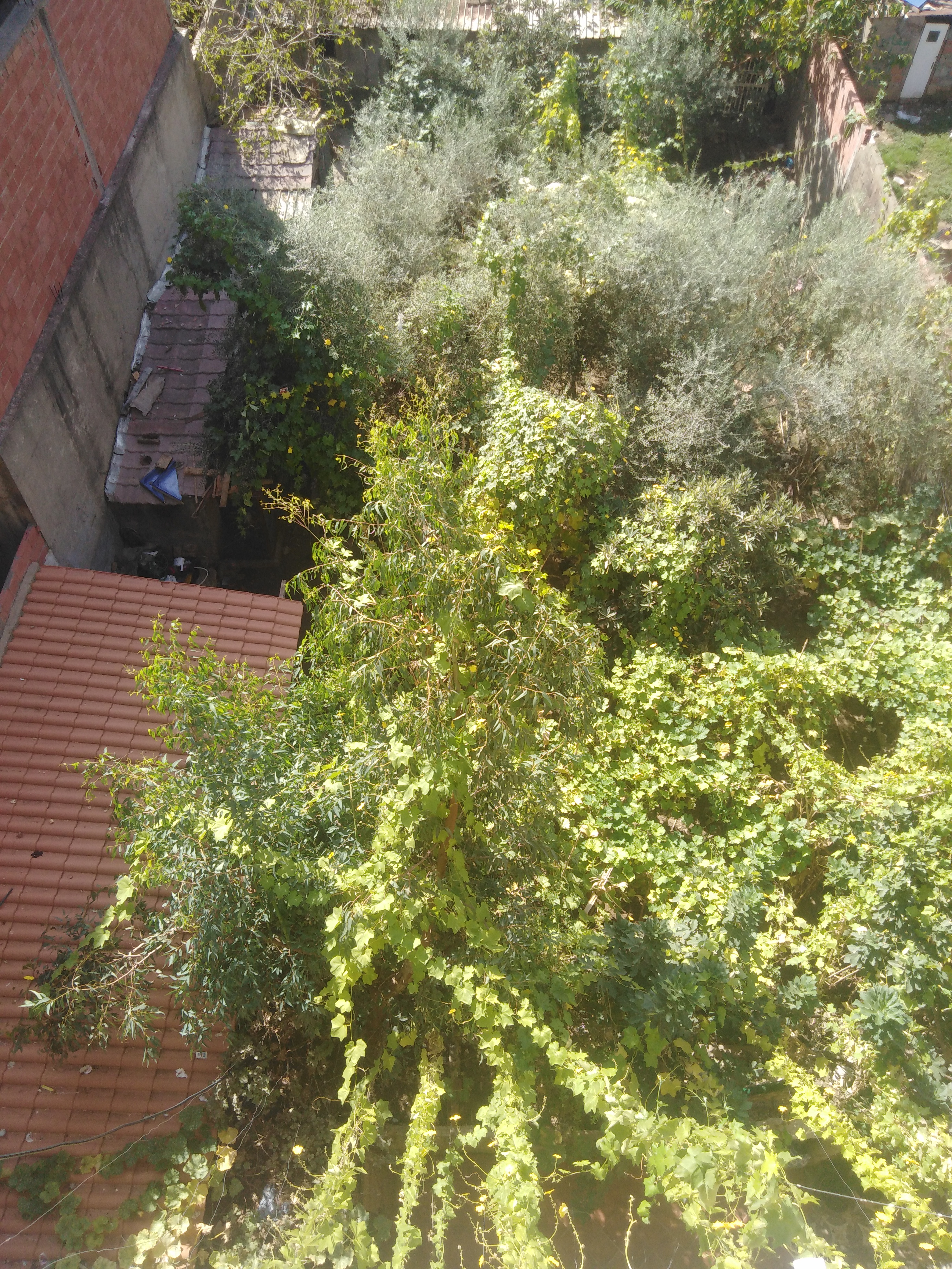 Photo de la propriété