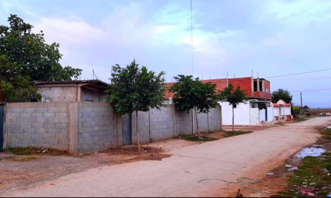 Photo de la propriété